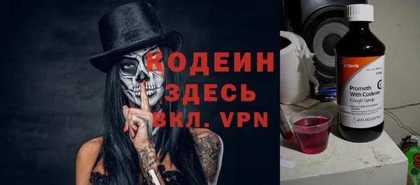 прущие грибы Кодинск