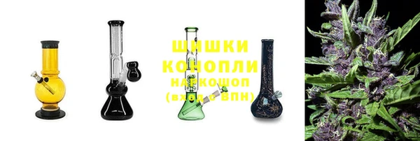 молекула духа Козловка