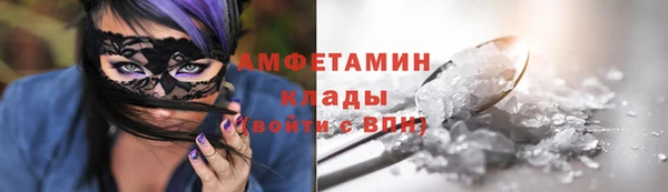 прущие грибы Кодинск