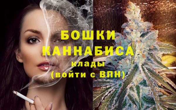 прущие грибы Кодинск