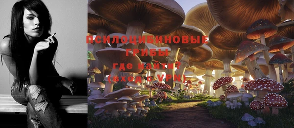 прущие грибы Кодинск