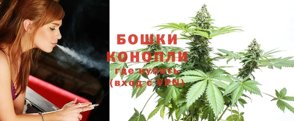 ПСИЛОЦИБИНОВЫЕ ГРИБЫ Коряжма